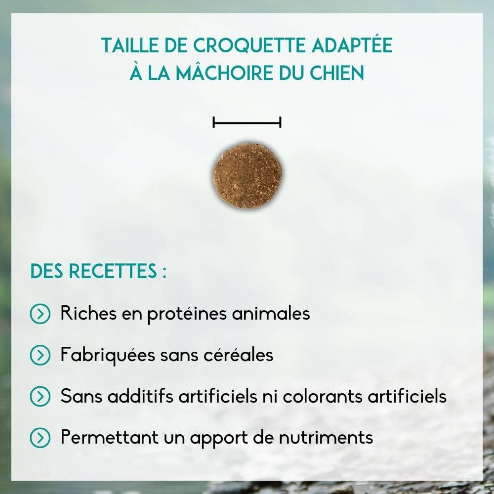 NUTRIVET - INNE Chien - Croquettes sans Céréales - Chien Adulte - Volaille - 80% d'ingrédients d'origine Animale - 12 kg