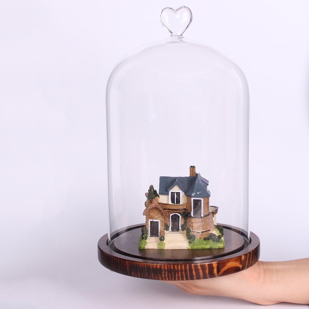 Clear Glass Dome Display Case Heart Handle Cloche with Wood Base Dia 6" H 8.5" (Coffee Wood Base)