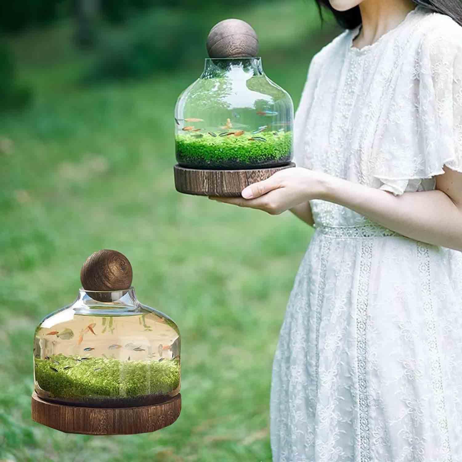 Ecological Fish Bottle Magical Glass Aquarium Micro Ecosphere Transparent Fish Tank Fish Bowel Ecological Teaching for Kids Students, D