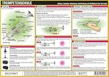 Trompetenschule: Aufbau, Zubehör, Stimmung, Handhabung und Grifftabelle der Trompete