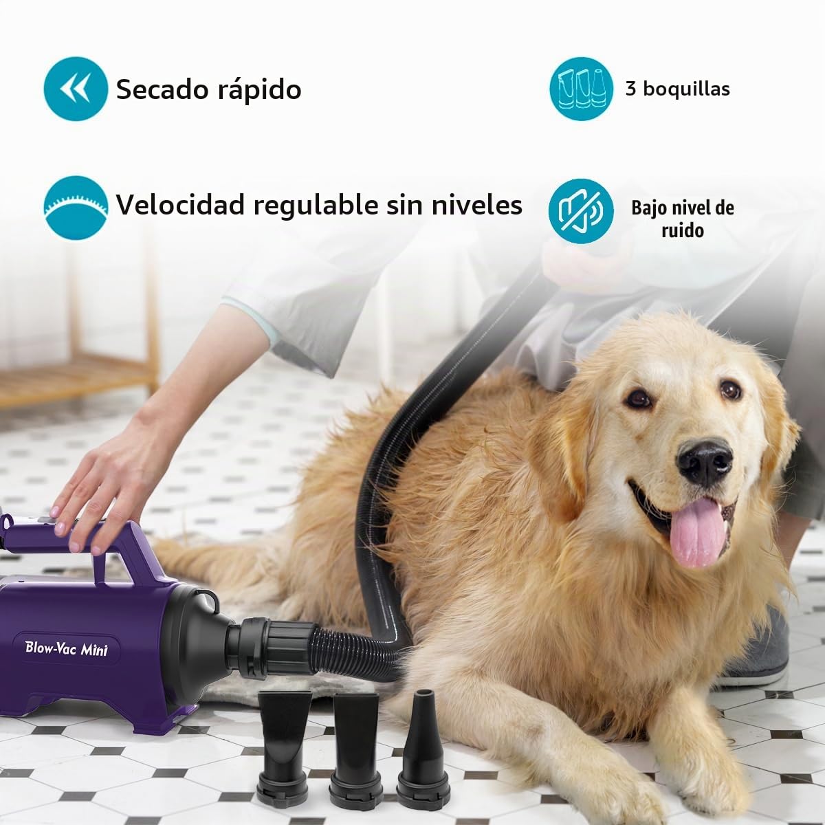 Secador de Pelo para Perros 3.8 HP Alta Velocidad Profesional Violeta | Motor 3.8 HP, Con calentador, Velocidad continua, Uso profesional perros/mascotas SMD-06P