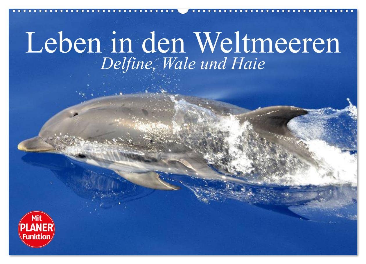 Leben in den Weltmeeren. Delfine, Wale und Haie (Wandkalender 2026 DIN A2 quer), CALVENDO Monatskalender: Gleiten und Leben in den Ozeanen der Welt (CALVENDO Tiere)