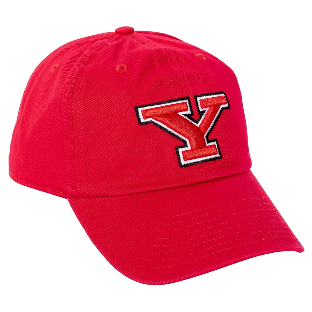 Desert Cactus Youngstown State University Baseball Hat YSU Penguins Brimmed Embroirderd Hats Cap Adjustable Cloth Strap Adult (Style A) Red, Red, One size
