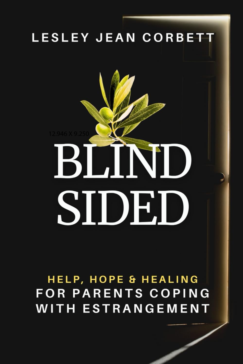 Blindsided: Help, Hope & Healing for Parents Coping with Estrangement