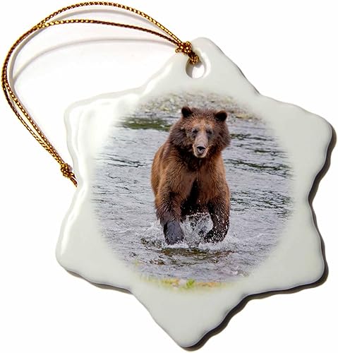 Miniatura 1 de 3dRose Brown Bear chases After a Salmon Dinner at Pack Creek. - Ornaments (orn-380598-1)