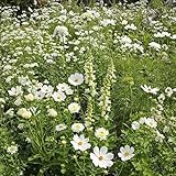 Ferry-Morse White Mix Bulk Flower Seeds, 1lb