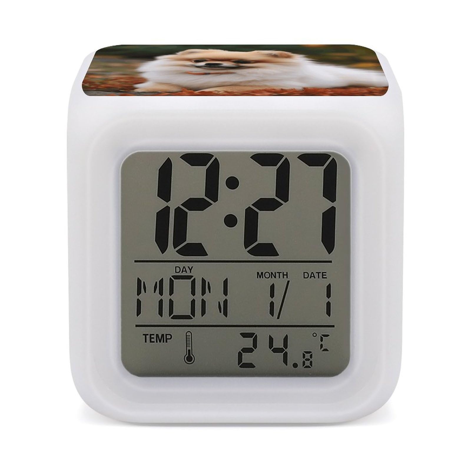VstaDank Short Haired Pomeranian Dog Alarm Clocks with 7 Color Changing Night Light Exquisite Bedroom Digital Clocks with LED Temperature Display Desk Clock Ok to Wake Clocks for Heavy Sleeper