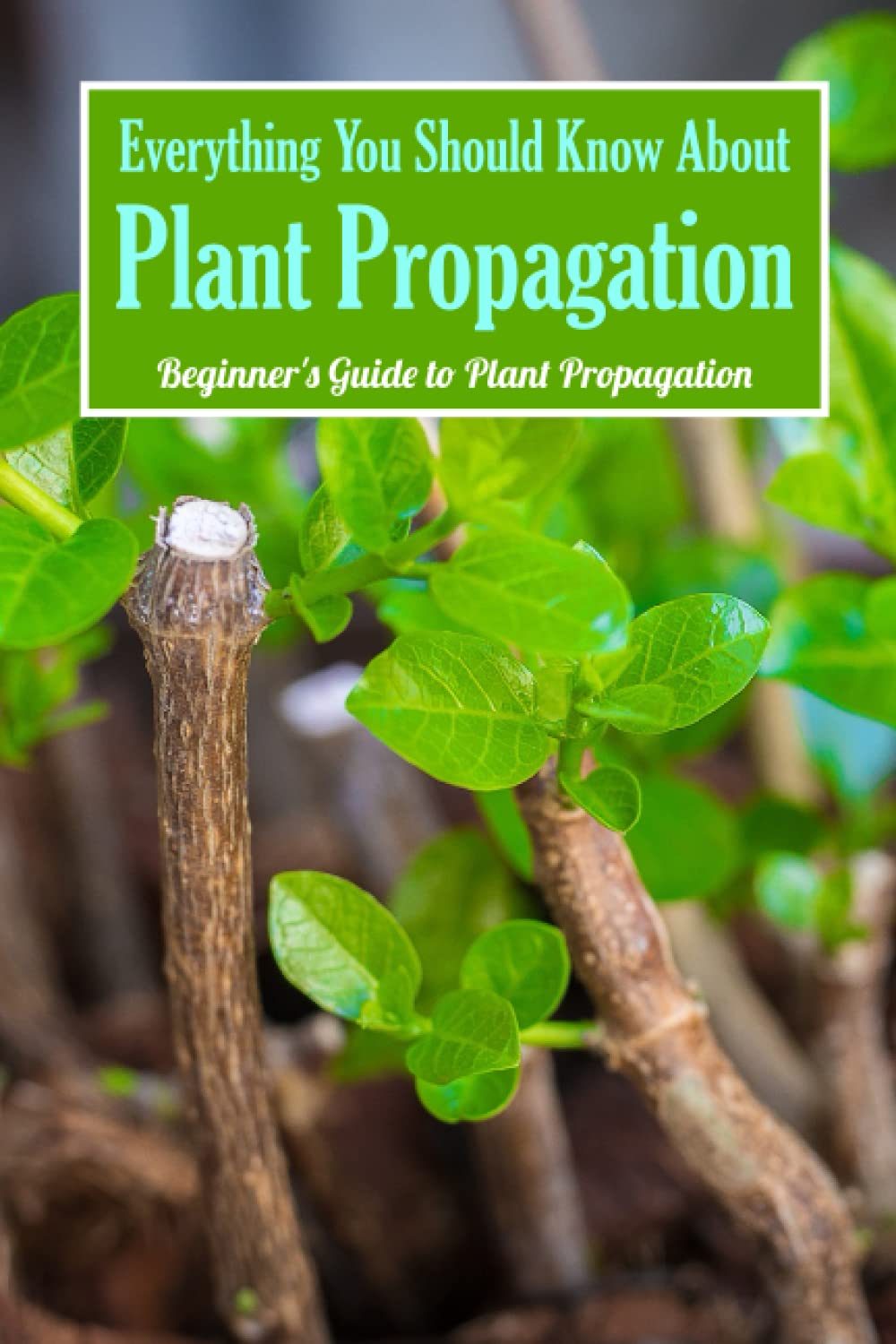 Everything You Should Know About Plant Propagation: Beginner's Guide to Plant Propagation: Beginner Plant Propagation.