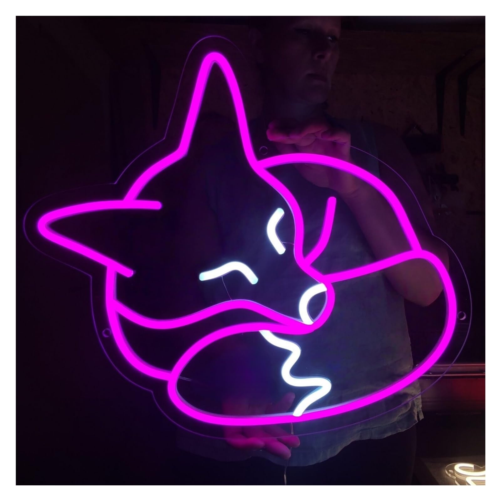 XENITE Hanging Art Neon Signs Sleeping Fox LED Light Neon Sign, Suitable for Pet Shop, Home Wall Animal Decor 50cm