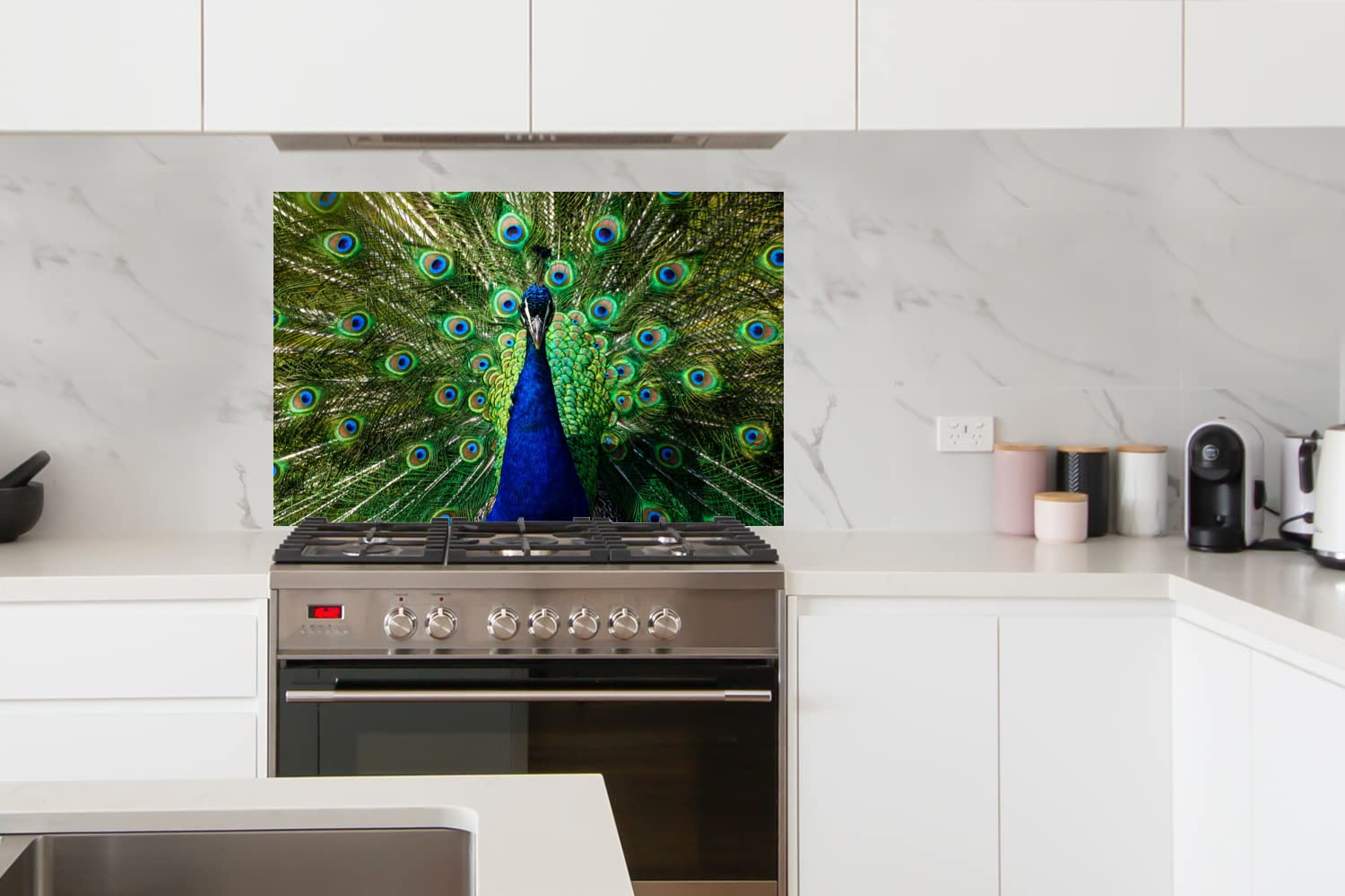Crédence De Cuisine Motif Paon Bleu - Aluminium 3mm, 100x65 Cm, Résistante à La Chaleur, Facile à Nettoyer