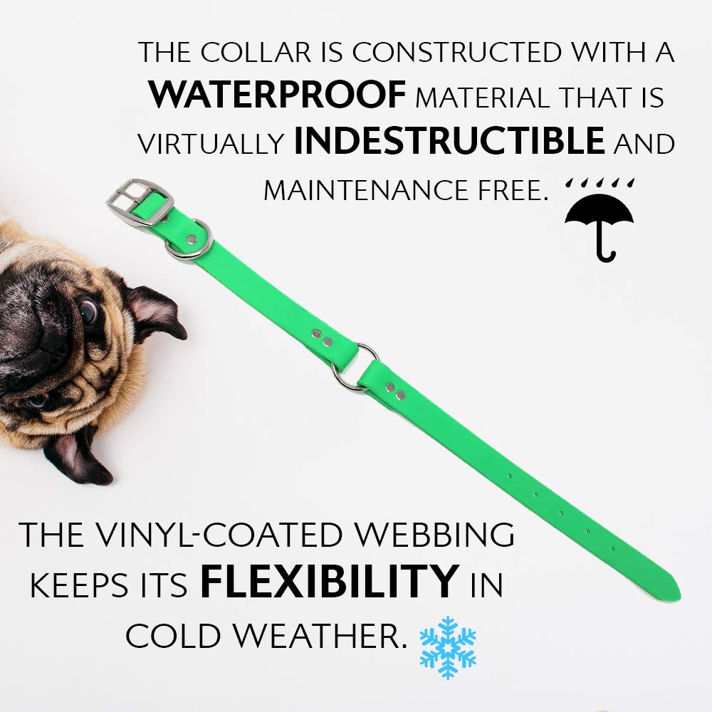 Regal Dog Products Collare e guinzaglio per Cani Resistenti all'Acqua Verde - Fettuccia Rivestita in Vinile su Misura, Doppia Fibbia e Anello a D per Cani di Taglia Media
