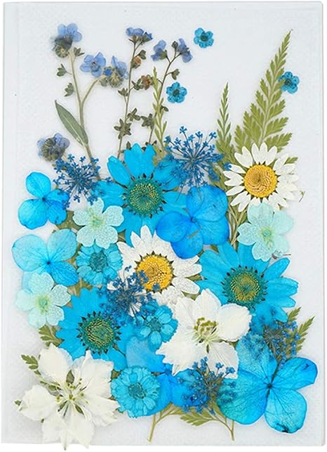 Ziyero 35 Stk Mixed Naturliche Getrocknete Blumen Gepresste Blumen Pack Gepresste Blumen Gemischte Getrocknete Blatter Fur Diy Kunst Gesichtsdekoration Blumendekor Scrapbooking Blau Amazon De Kuche Haushalt Wohnen