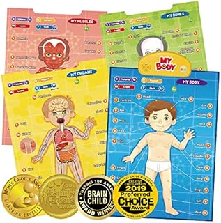 BEST LEARNING i-Poster My Body - Interactive Educational Human Anatomy Talking Game Toy System to Learn Body Parts, Organs, Muscles and Bones for Kids Aged 5 to 12 Years Old