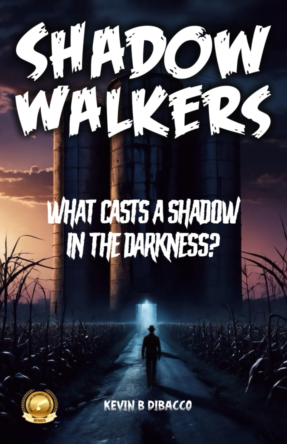 Shadow Walkers: What casts a shadow in the darkness?
