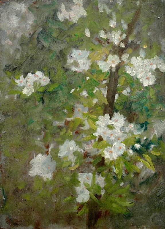 White Blossom HenryTuke Peinture sur toile 58x90cm sans cadre décor