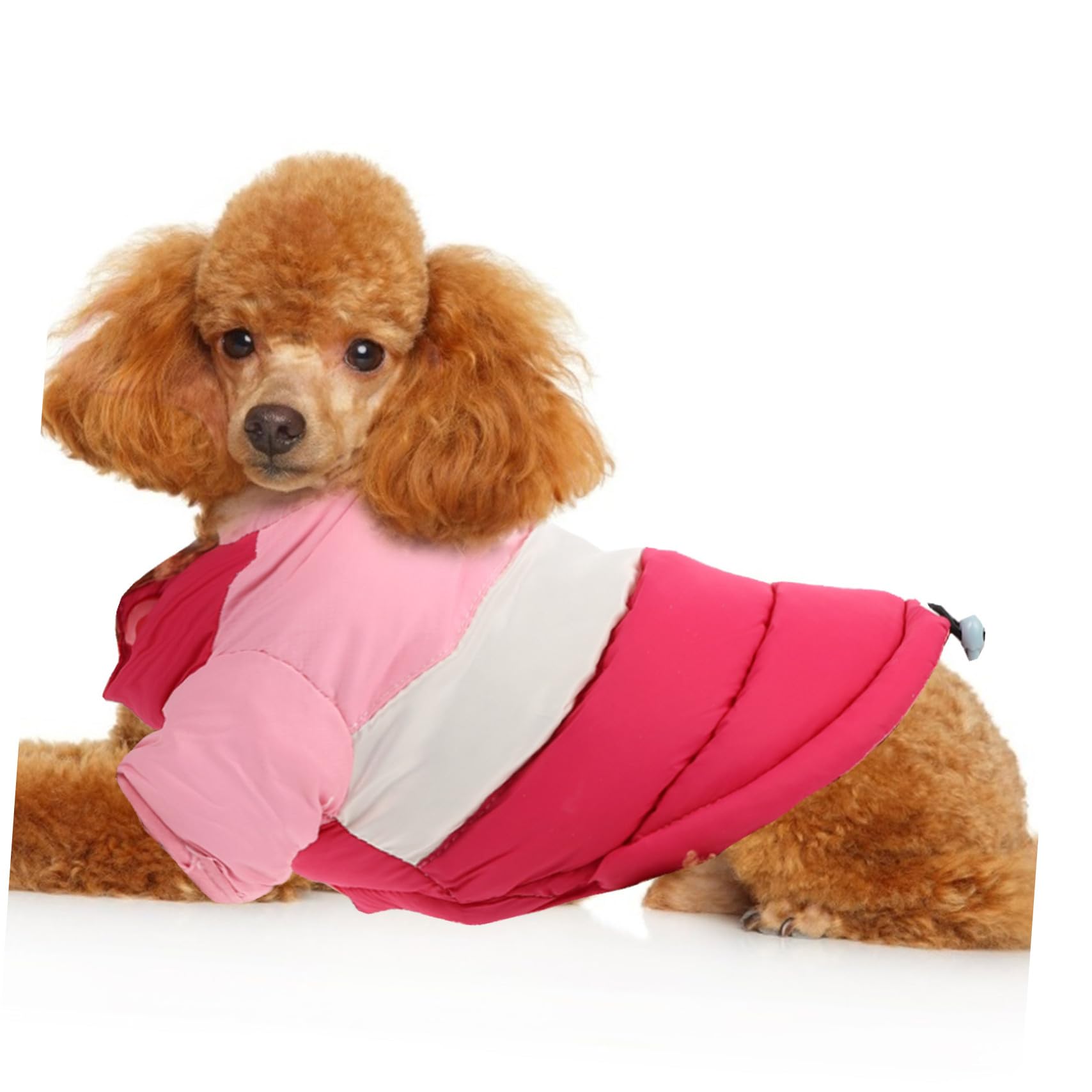 Manteau et Confortable Coton Chaud, D’Hiver pour Chien