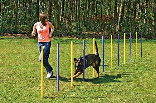 VEVOR Hunde-Agility-Trainingsausrüstung, 4-teiliges Set Mit Verstellbaren Hohen Hurden 6 Slalomstangen Sprungring Quadratischer Pausenbox Pfeife Faltbarer Schussel Hindernisparcours Set Fur 85133763