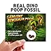 NATIONAL GEOGRAPHIC Ultimate Dinosaur Play Sand - 2 Lbs. of Sand, 6 Molds, 6 Figures & Activity Tray, Jurassic Planet