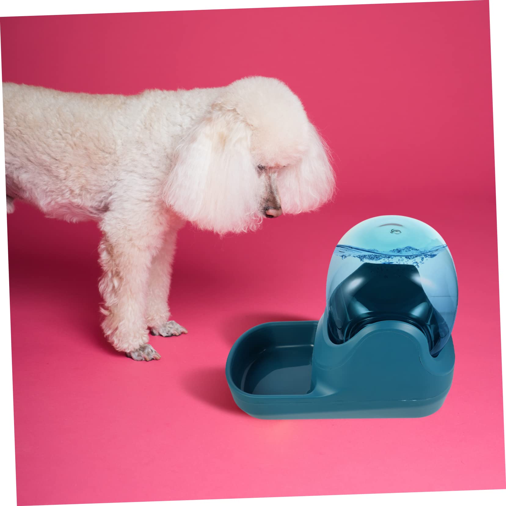 minkissy Comedero Bebedero Automático para Mascotas y Gatos, Dispensador de Agua 3.8l, Plástico Desmontable Fácil de Limpiar, Verde, Hogar