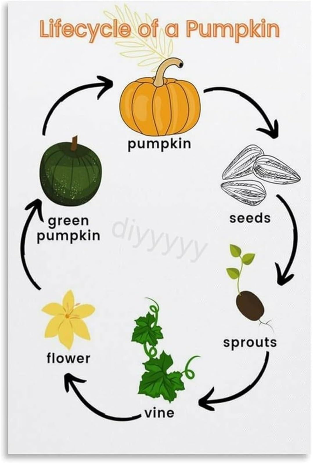 MQXFCZUX Pumpkin Growth Stages from Seed to Harvest Vintage Chart Poster Canvas Art Print for Cozy Kitchen or Autumn Porch Unframed,12x18inch(30x45cm)