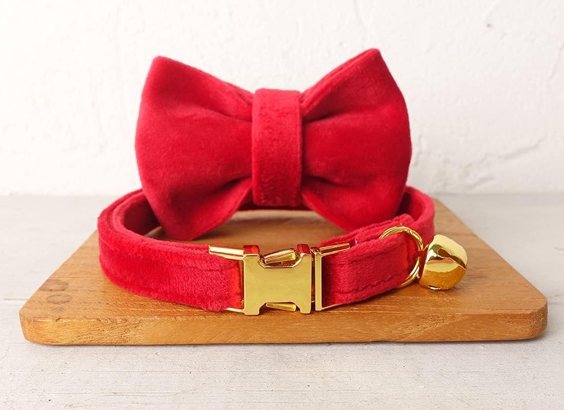 Personalisiertes Katzenhalsband mit Namensschild, verstellbares Samt Katzenhalsband mit Klingel, Haustier Halsband mit Name Telefonnummer Gravierte ID Tags, Rot, S (16cm-26cm)
