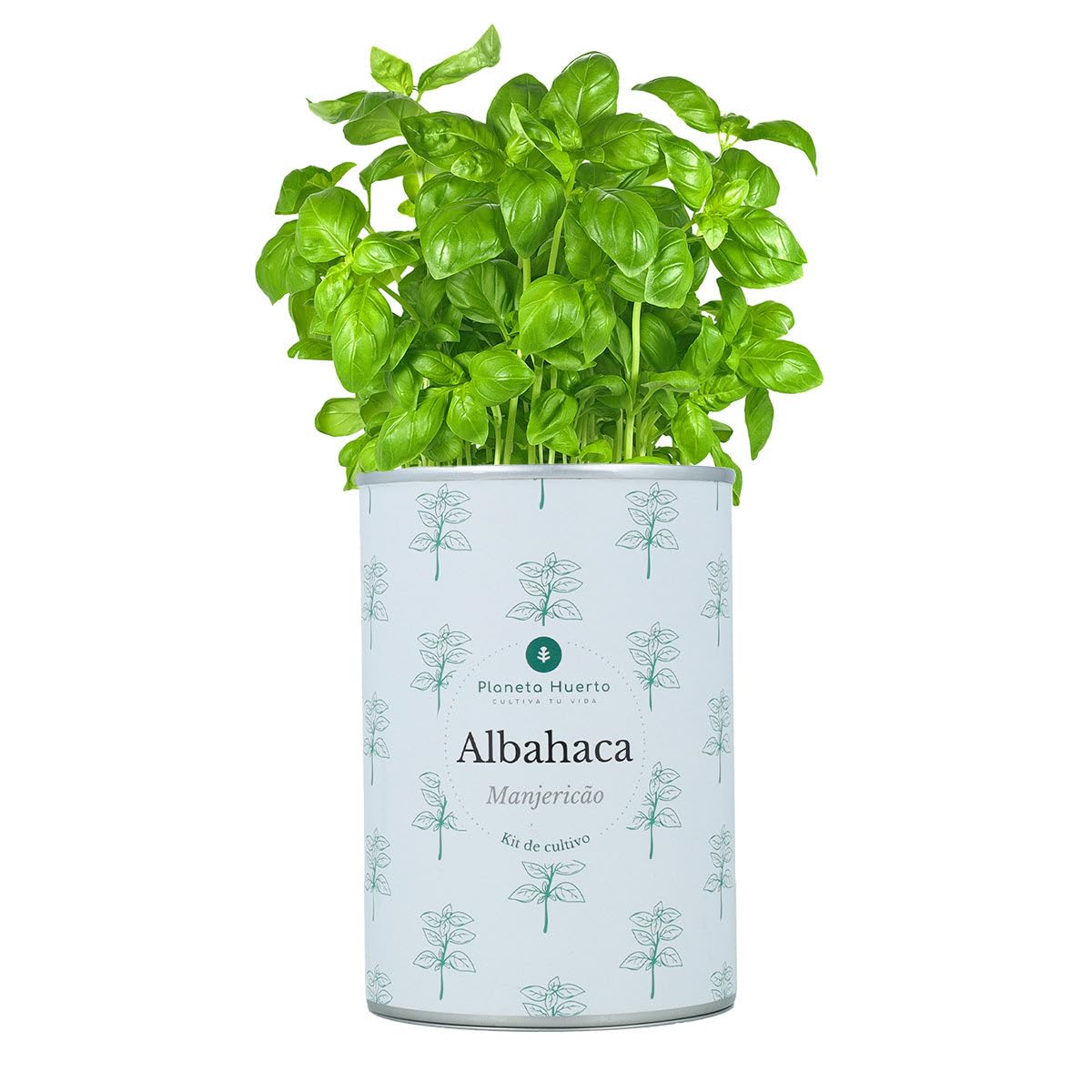 PLANETA HUERTO | Pack Cofre Kits de Cultivo Aromáticas Planeta Huerto – Set Completo para Cultivar Hierbas Frescas en Casa