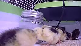 Review Image by Karlson Karlson