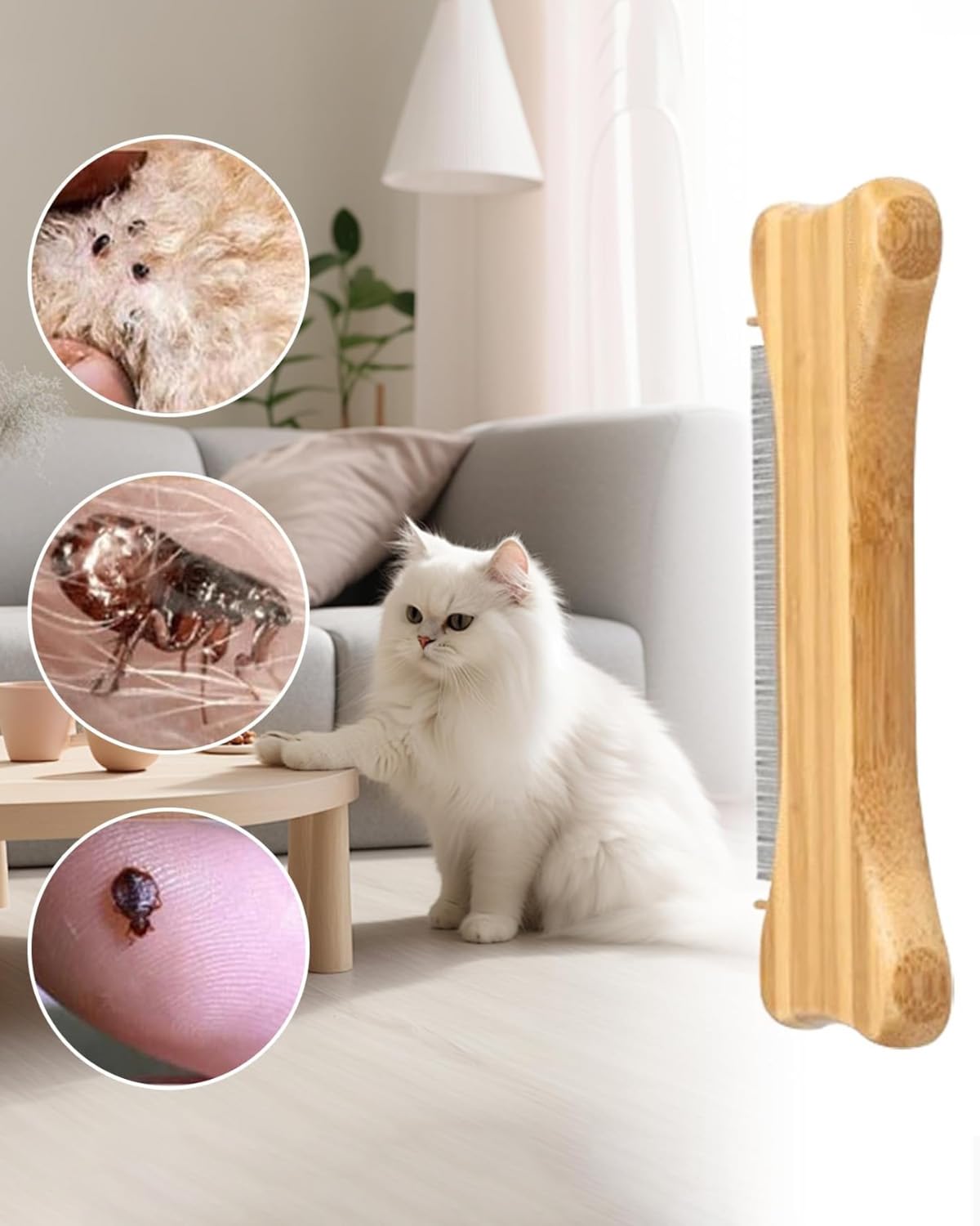 1 pièce Peigne à puces en forme d'os,manche en bois,peigne à puces pour chiens à poils courts,peigne de soins pour animaux de compagnie,élimine les puces et les tiques,les chiens et les chats