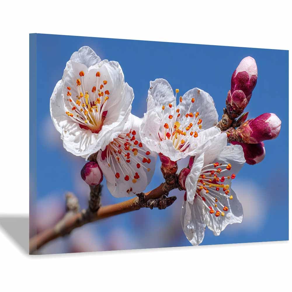 ZAMAEIU Forest Landscape Painting Branch-bloomsing Flower Canvas Artwork posters & prints Suitable for Living Room Bathroom Bedroom Home Wall Decoration(white)-30x50cm Framed