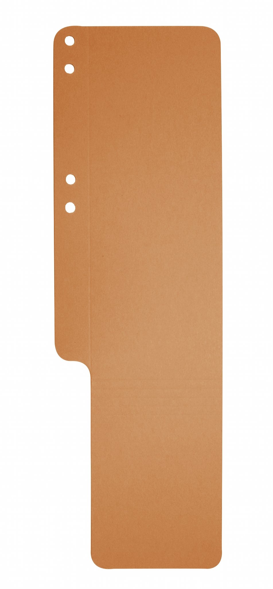 Exacompta 13709B - Confezione da 100 cartoncini in cartone riciclato, 100 x 318 mm, colore: Arancione