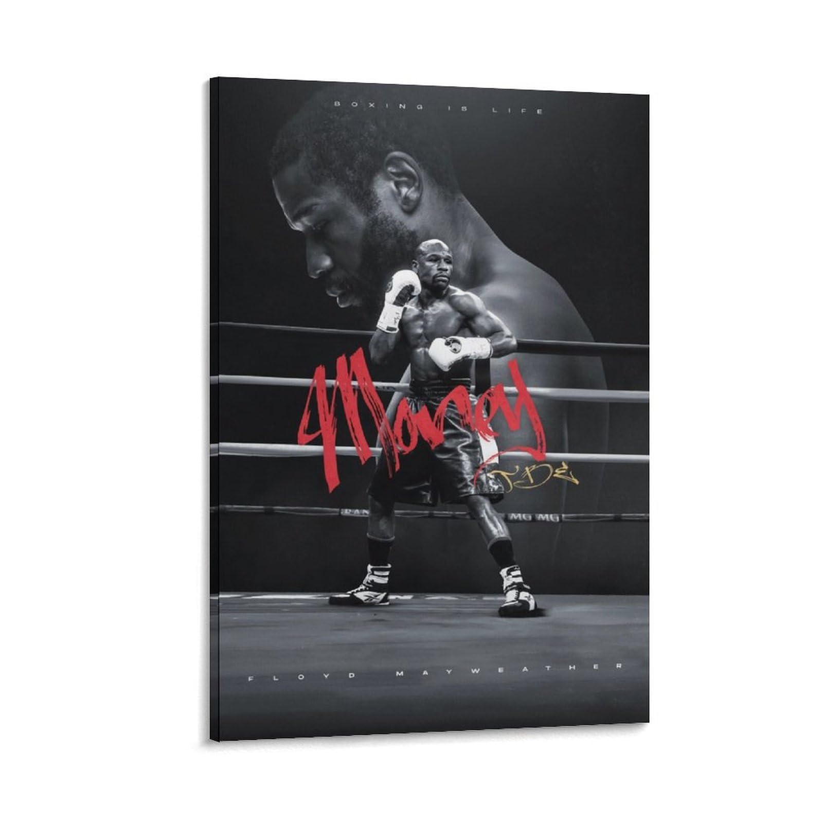 Amazon.co.jp: ボクサー フロイド・メイウェザー・ジュニア アメリカ