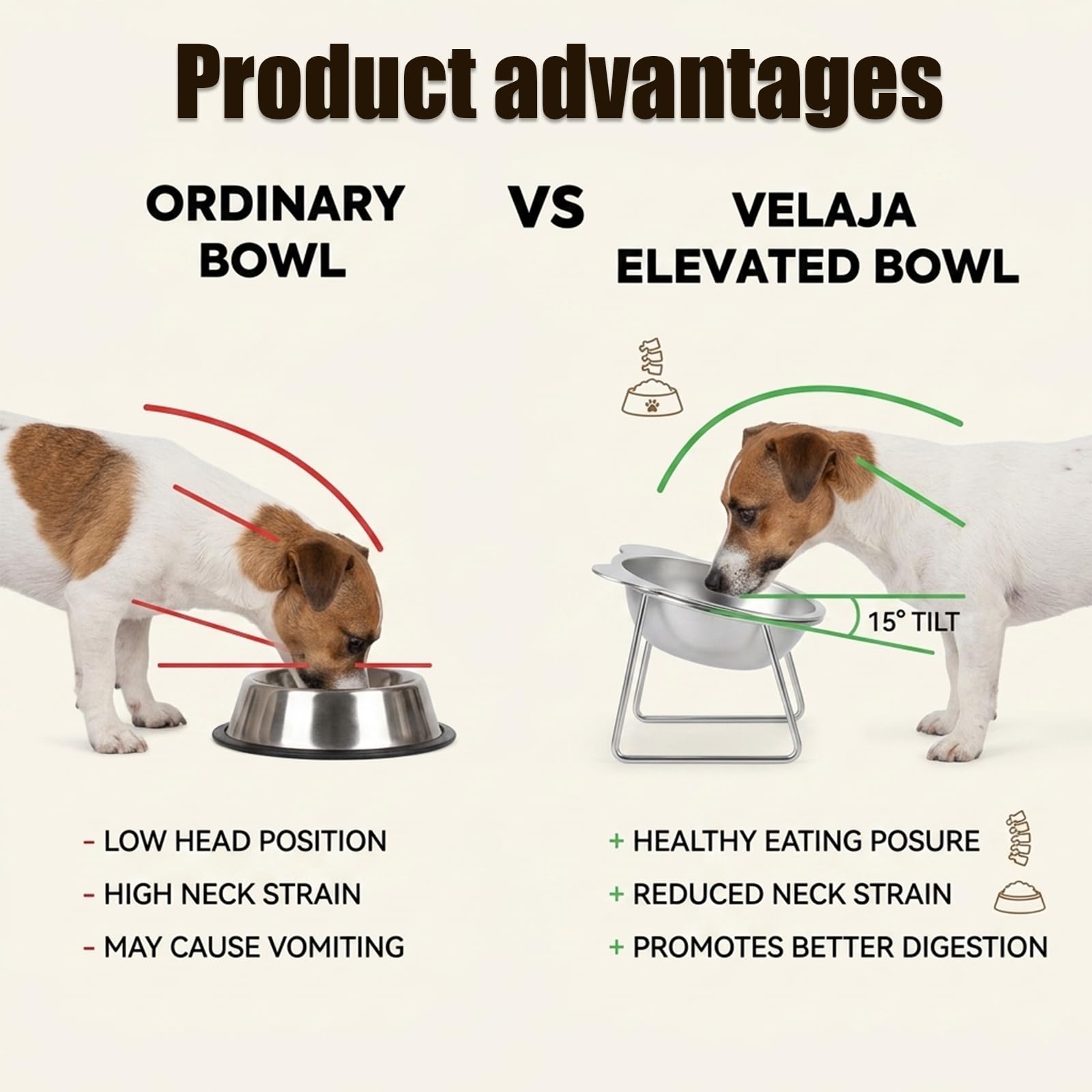 Comedero Gato Elevado Acero Inoxidable, Comedero Elevado para Gatos, Cuenco Inclinado 15° con Soporte Desmontable para Postura Cómoda de Gatos, Gatitos y Perros Pequeños, 2 Unidades