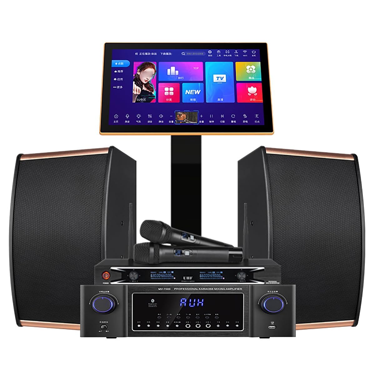 Million Dollars High End Home Stereo Systems 19 Inch Professional