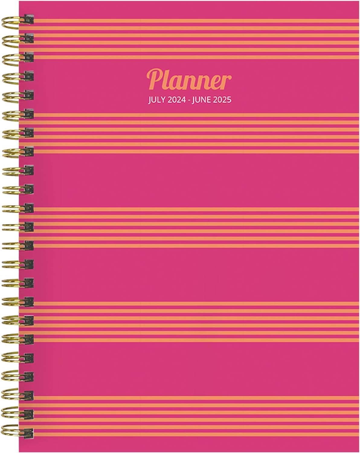 TF PUBLISHING July 2024 - June 2025 Cabana Stripe Medium Weekly Monthly Planner - Coordinating Planning Stickers - 12 Month Academic Year 2024-2025 Planner - Faux Monthly Tabs - 6.5 in x 8 in