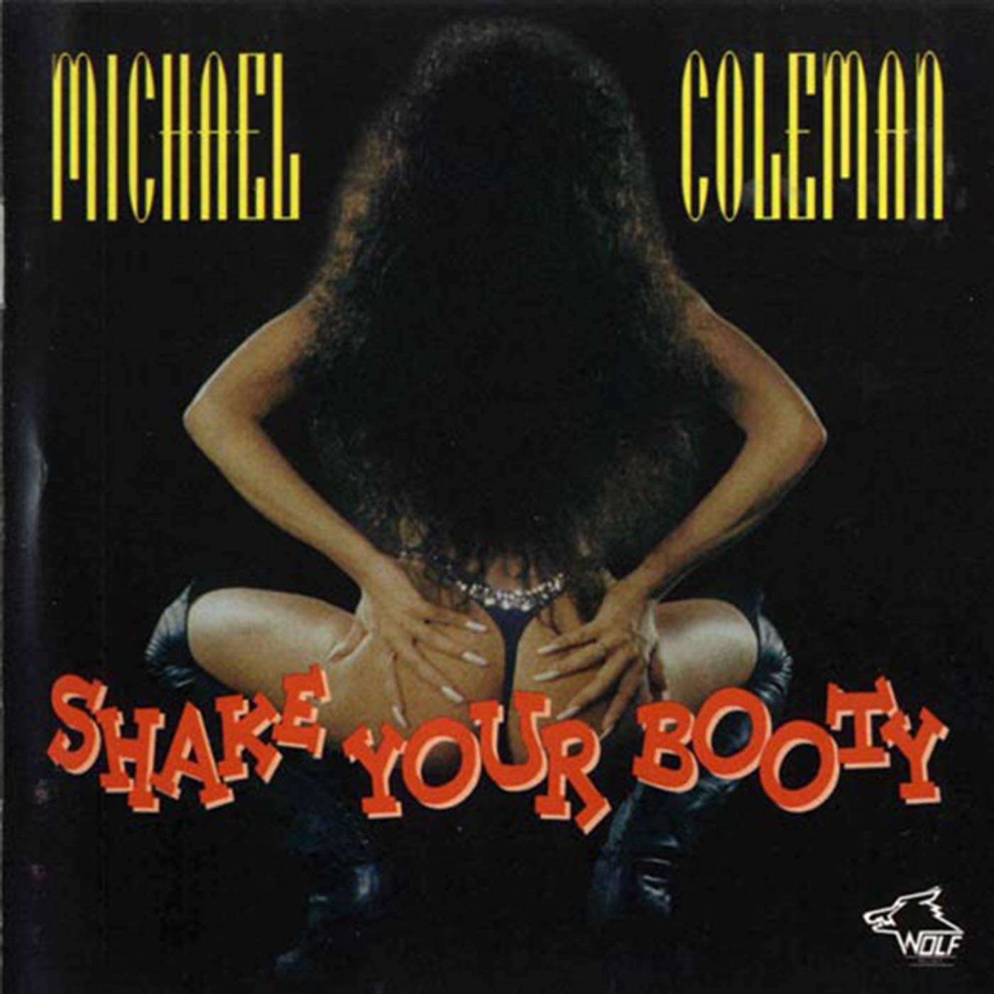 Vinyl Castle Shake Your Booty