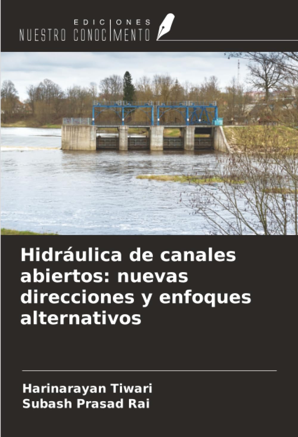 Hidráulica de canales abiertos: nuevas direcciones y enfoques alternativos