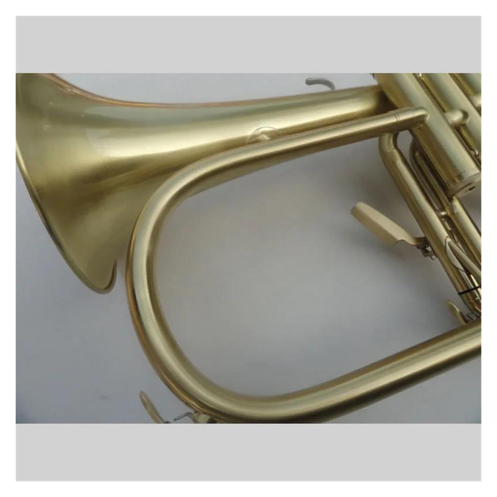Flugelhorn Bb B Płaski instrument dęty Flugelhorn z twardą obudową, ustnikiem, szmatką i rękawiczkami