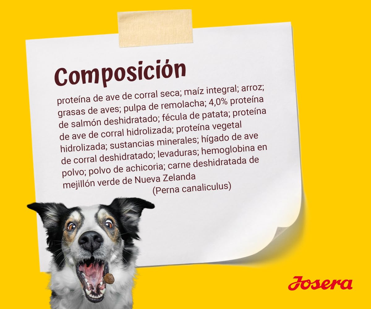 JOSERA Festival (1 x 12,5 kg) | Adult | Premium Trockenfutter für ausgewachsene wählerische Hunde | Lachs & Geflügel | leckerer Soßenmantel - auch Zum Einweichen | weizenfrei | Hundefutter | 1er Pack
