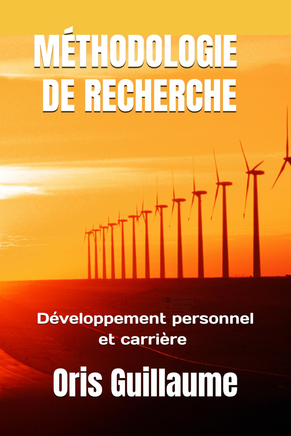 MÉTHODOLOGIE DE RECHERCHE: Développement Professionnel & Carrière