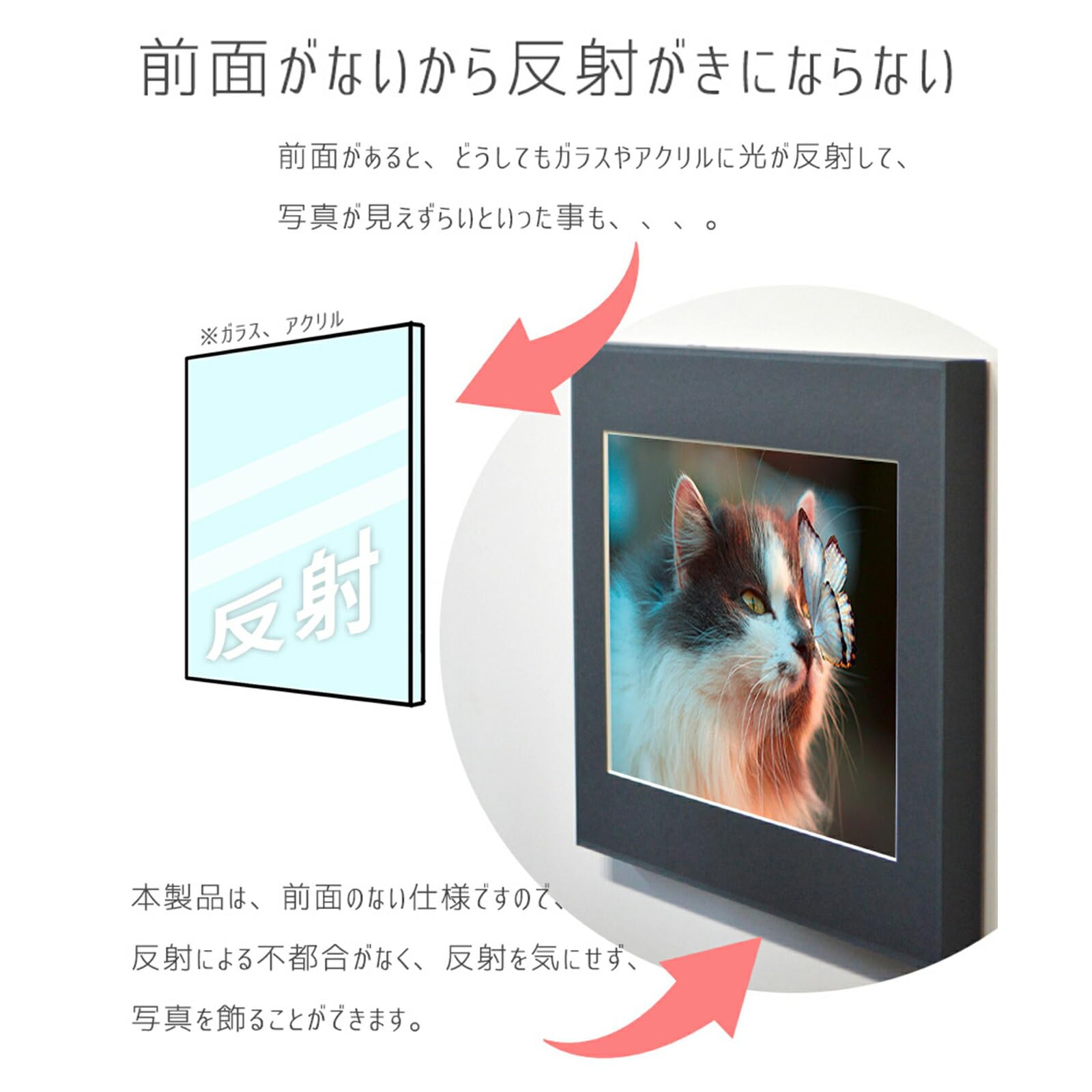 Amazon.co.jp: 写真パネル 写真全紙サイズ用普通（560×457mm） 軽量で  