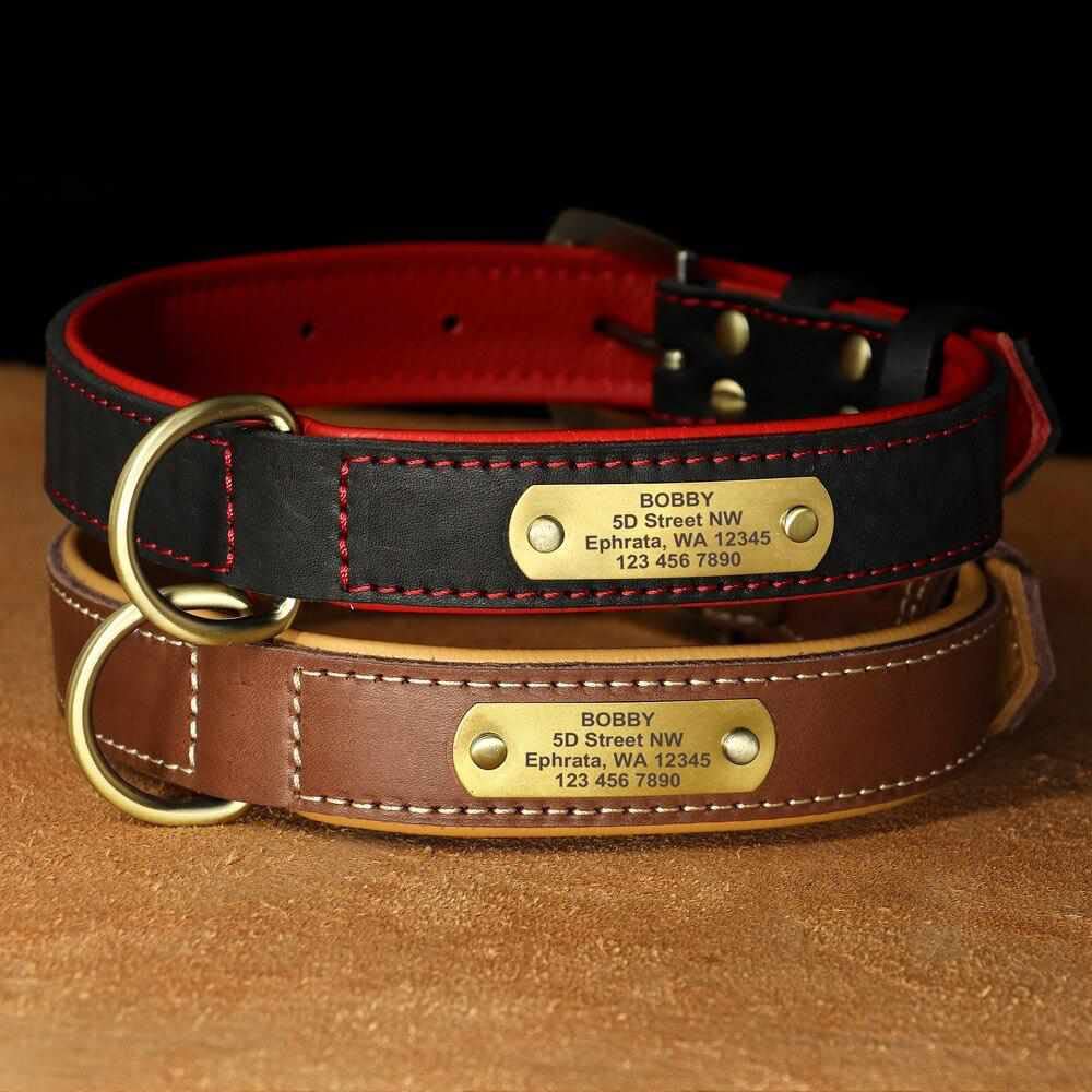 Exklusives Leder Hundehalsband mit großer Gravurplatte und gratis Gravur von Name und Telefon, für mittlere und große Hunde Schwarz/L 43-55cm