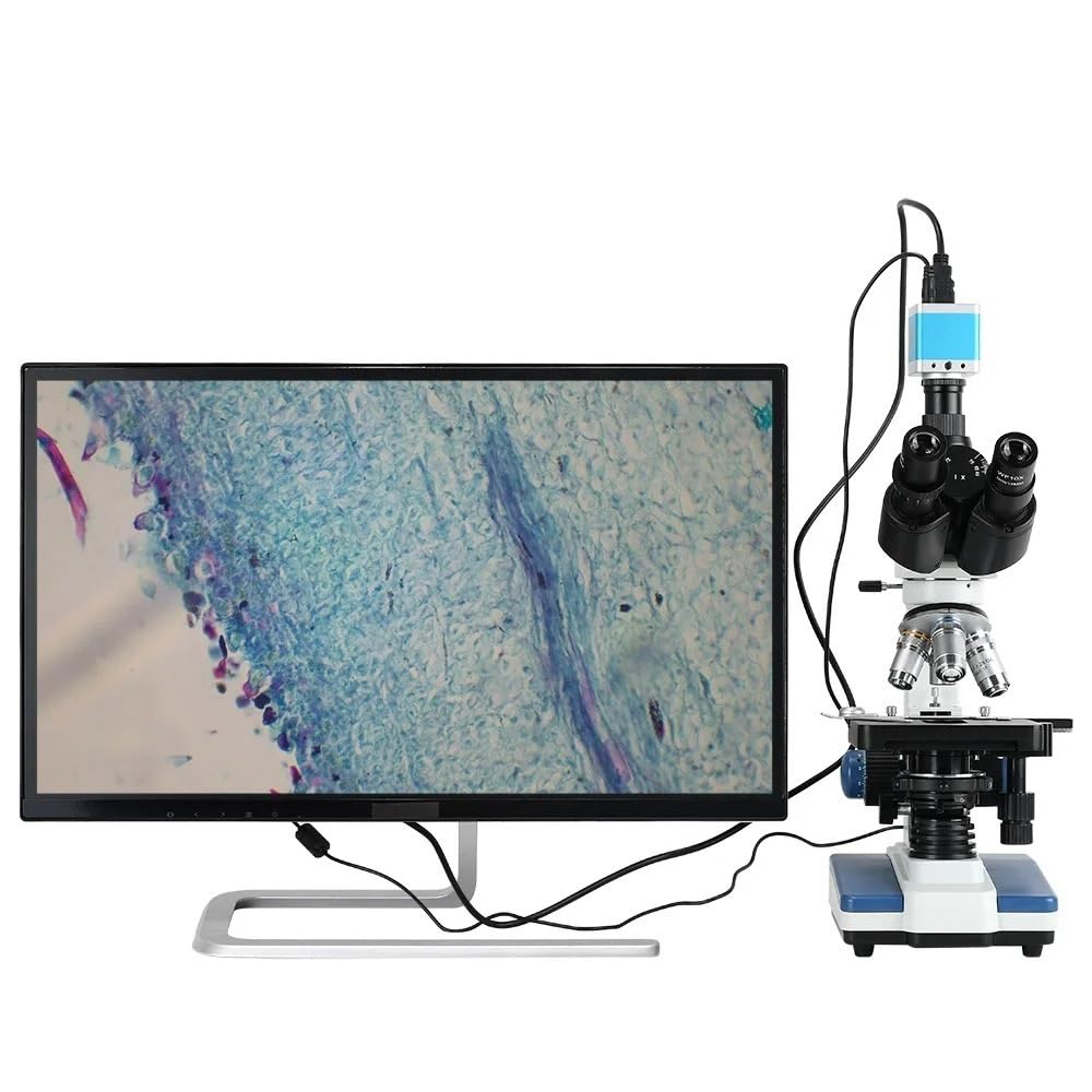 Mikroskopbeobachtung 40x-2500x Biologisches Lichtmikroskop mit Verstellbarer Beleuchtung und mechanischem XY-3D-Tisch für naturwissenschaftliche Labore