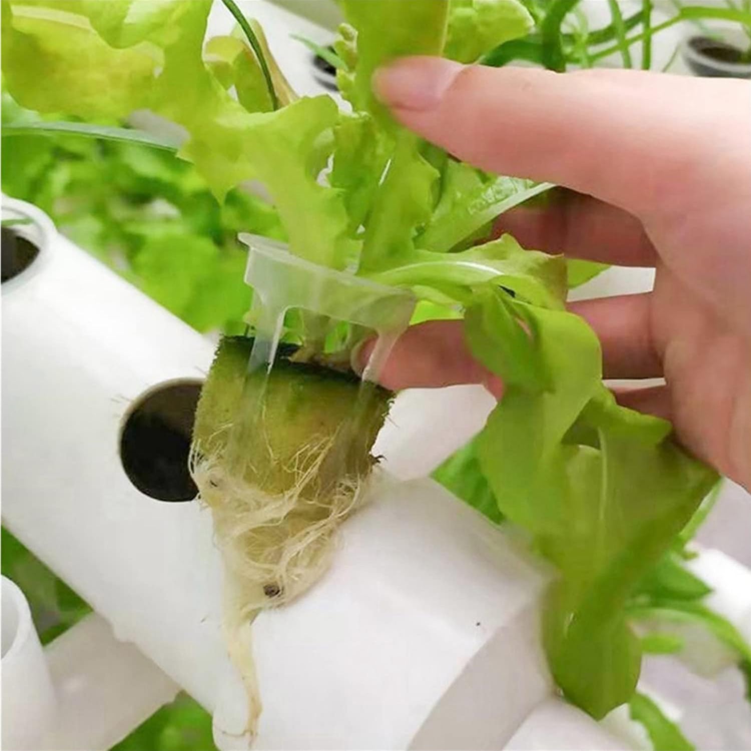 Kit de Cultivo hidropónico, Kit de Cultivo hidropónico de 2 Niveles con 72 Orificios, Sistemas hidropónicos de PVC, Sistemas hidropónicos sin Suelo, 110 V
