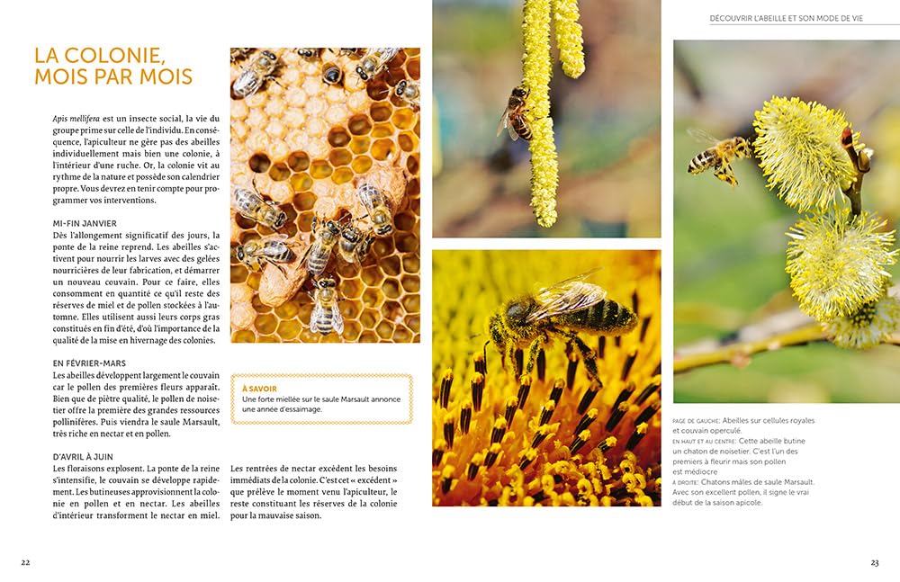 Installer un premier rucher - Pratiquer une apiculture respectueuse du bien-être des abeilles avec l
