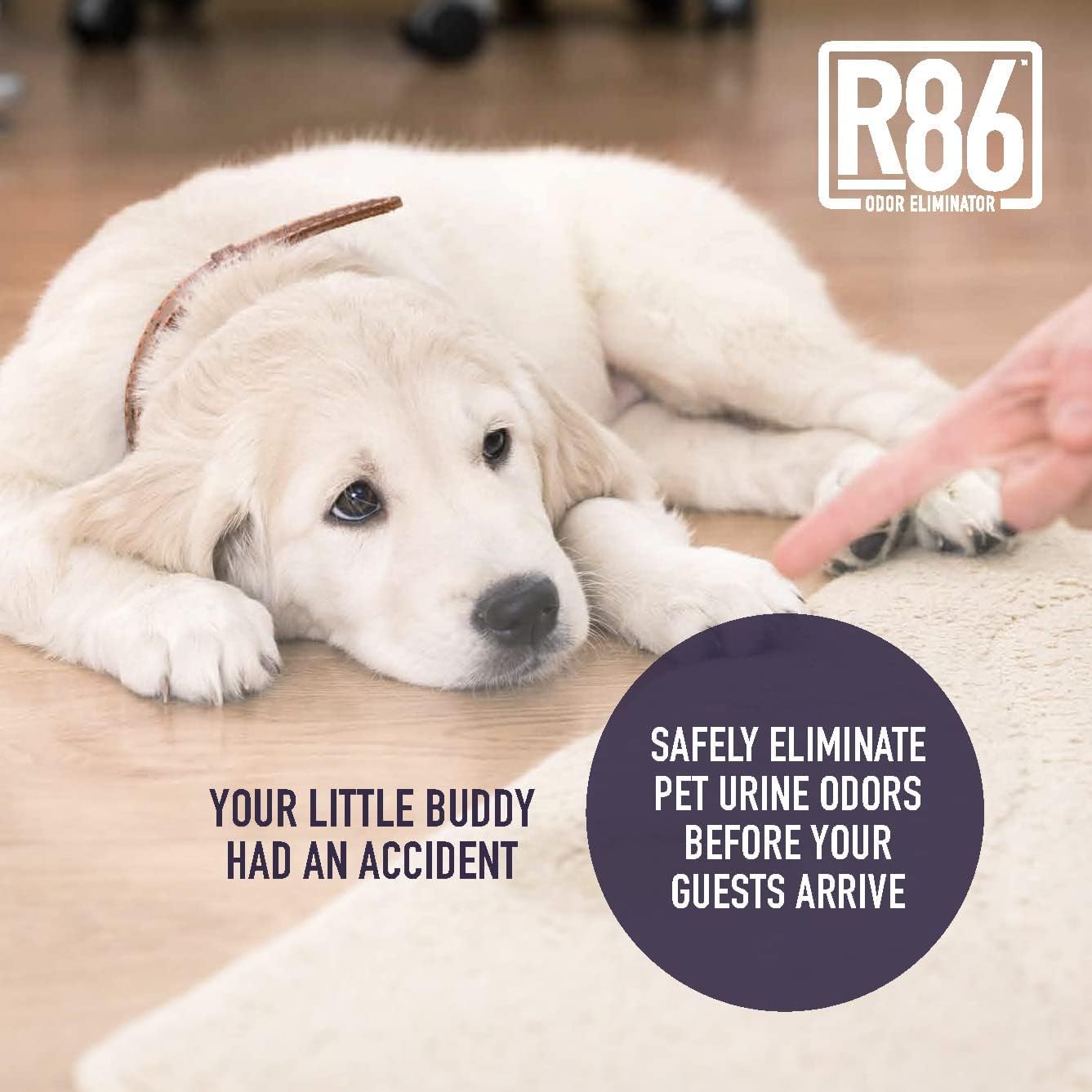 R86 Eliminador de olores de mascotas, elimina el olor de las cajas de arena, alfombras y superficies duras, incluso elimina el olor de mofeta de gatos y perros, fórmula a base de plantas, uso húmedo o