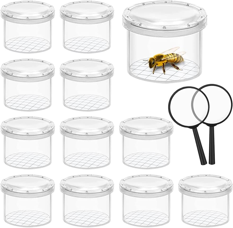 Bug Viewer Box Kits Toy 12 Pcs Hunting Magnifying Cup 2pcs Magnifying Glass Kit Caterpillars