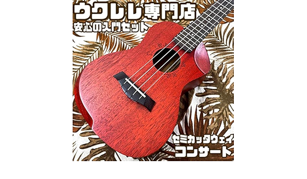 Amazon.co.jp: 【入門セット】Matildaセミカッタウェイのコンサート