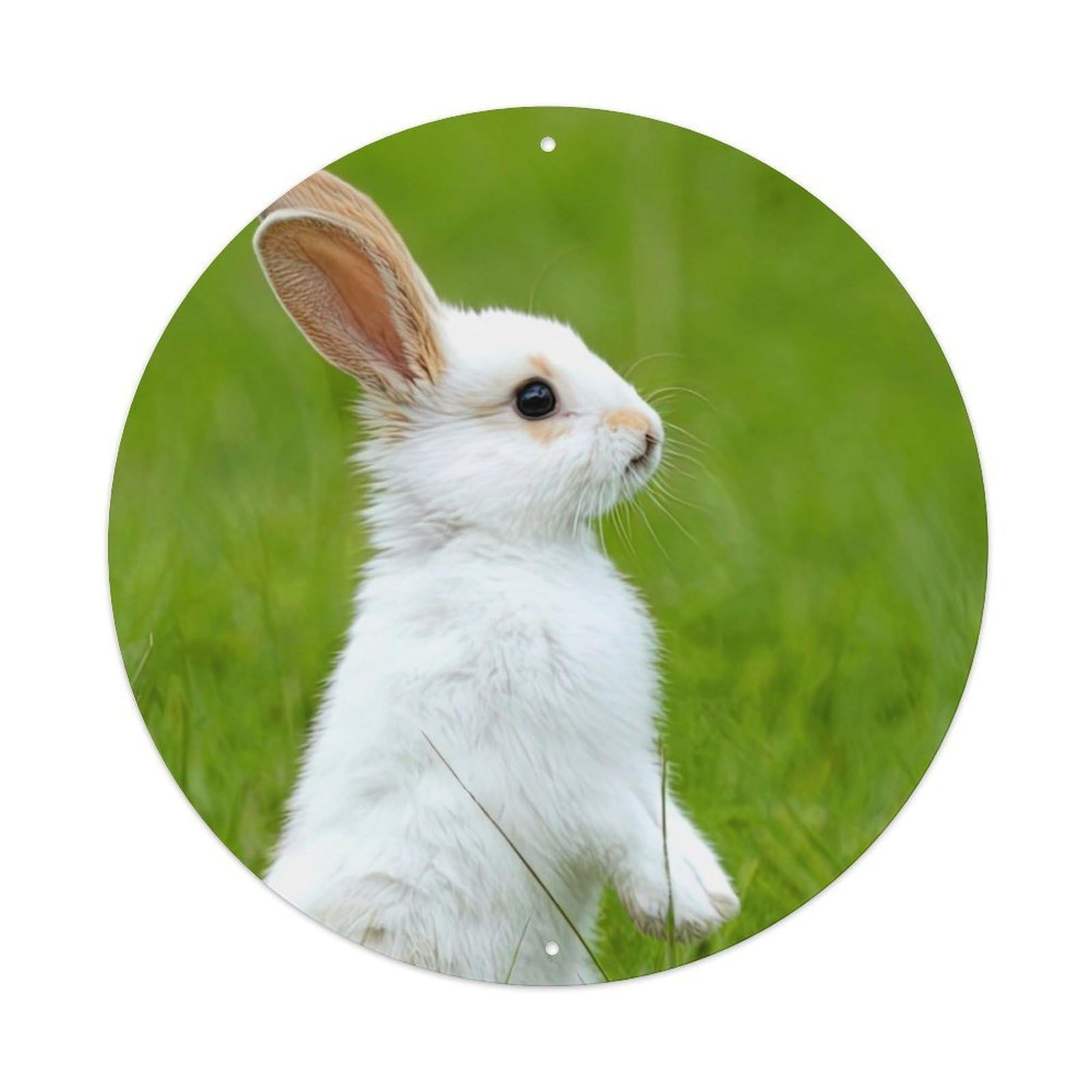 Animal White Rabbit in The Grass Vintage Metal Tin Sign Plaque Wall Decor for Cafe, Club Bar, Office, Garden Metal Poster 8x8Inch