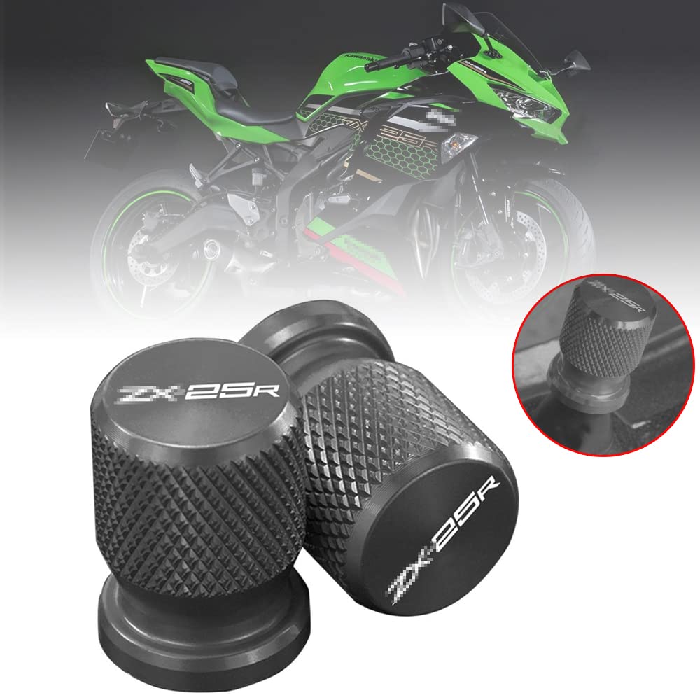 アクセサリー RT スリクソン ZXi5 アイアン Diamana ZXi for IRON カーボンシャフト 6本