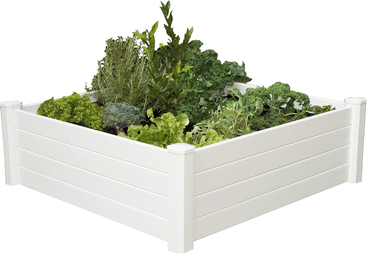Jolly様 NEIGHBORHOOD ネイバーフッド ウッドキューブ ① ③ Amazon.com : NuVue Products 26001 Premium Outdoor Raised Garden